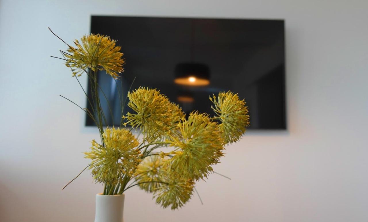 Apartment Flora Pula Exteriör bild